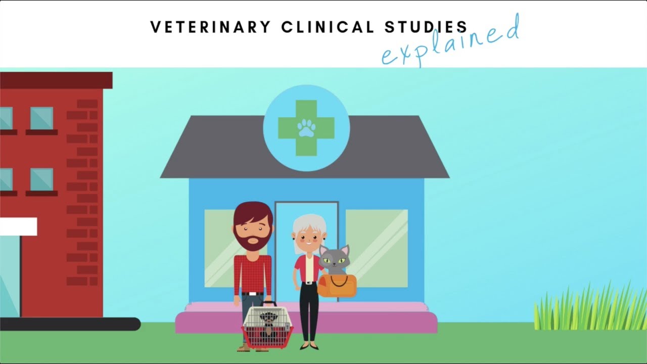 Veterinary Clinical Studies: Explained