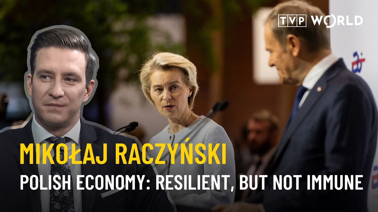 Advice for Europe: Invest more in energy sovereignty and overall security | Mikołaj Raczyński