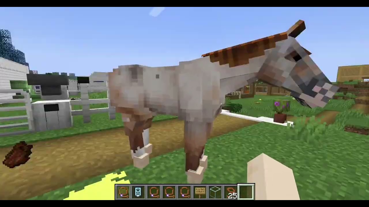We got 3 (rescue) horses!