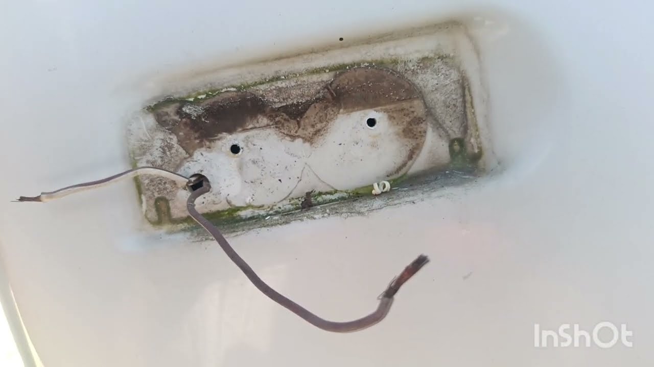 Reparación Restauración Caravana #8 Luces de posición