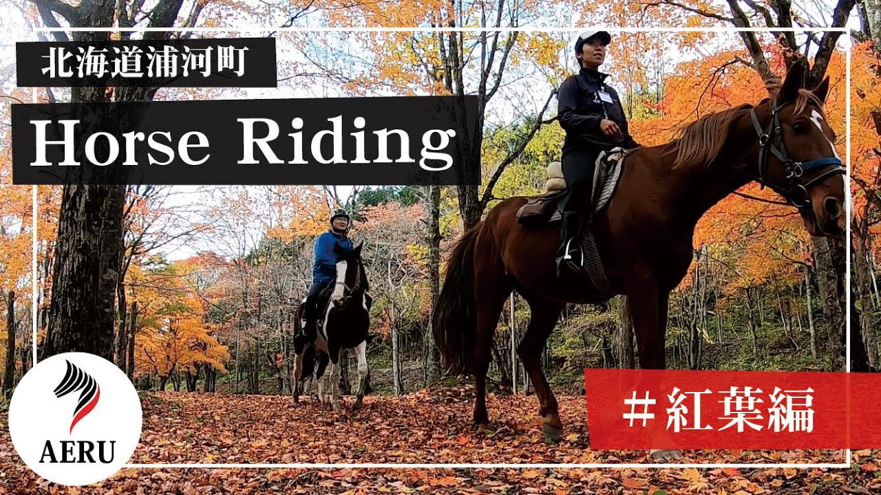 Horse Ridingうらかわ優駿ビレッジAERU＃紅葉編