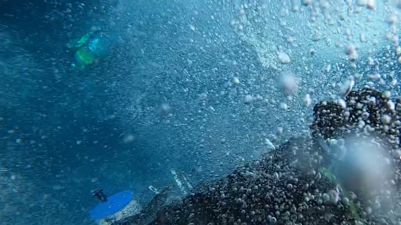 Diving the N.C. Megalodon ledge!!!!