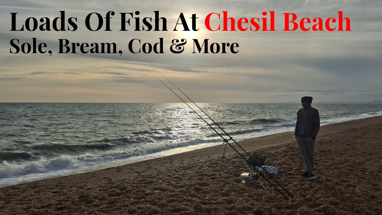 Loads Of Fish At Chesil Beach | Sole, Bream, Cod And More | UK Shore Fishing | Abbotsbury