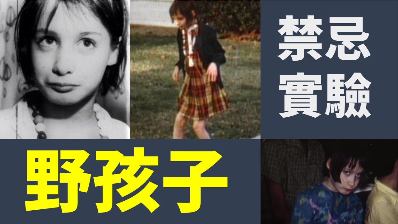 禁忌實驗「吉妮」：被剝奪語言與人性的13年，科學與倫理的永久傷痕
