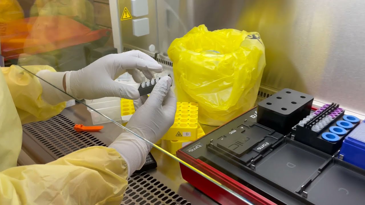 COVID 19 Workflow Qudos Bank Arena Vaccine Hub
