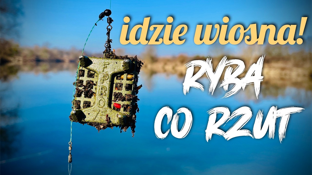 [215] Odra ożywa 🌱☀️ Brały aż do znudzenia 🥱🎣