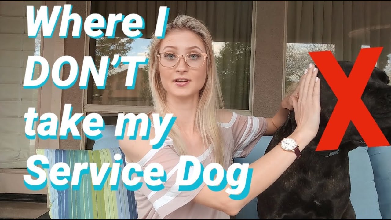 Where I Don't Take My Service Dog | LWSD #1