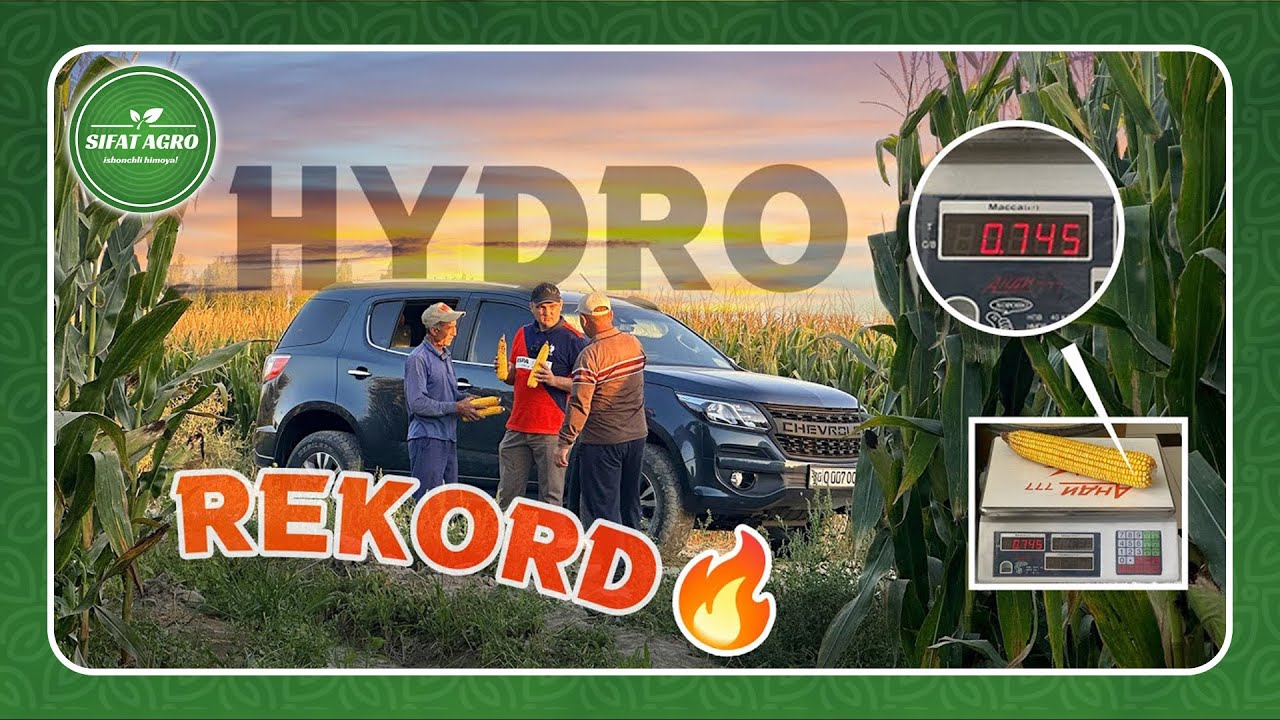 Makkajo'xoridan rekord natija | 2023 | +998 90 604 05 55
