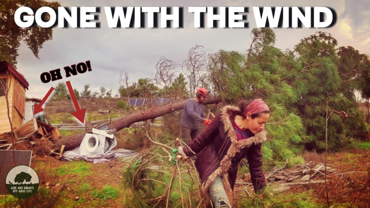 Storm Kristen Destroys our Off-Grid Homestead in Central Portugal