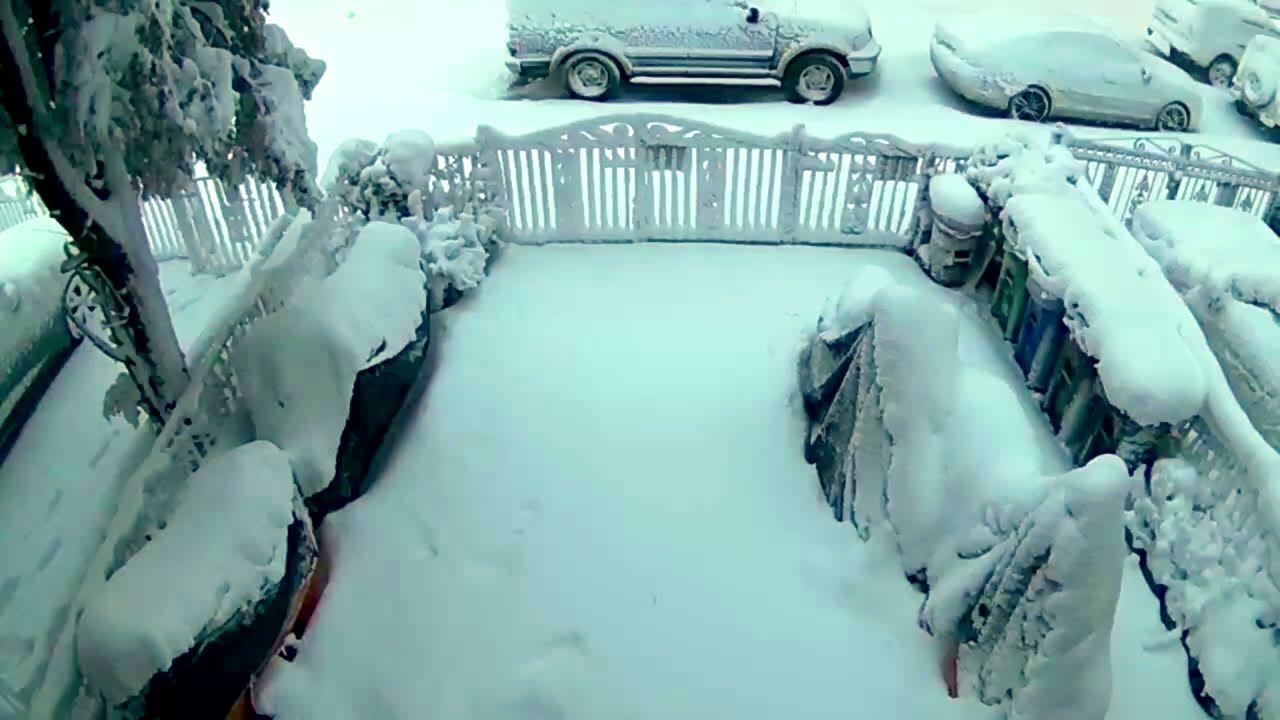 Snowed NYC 22-23 Feb 2026