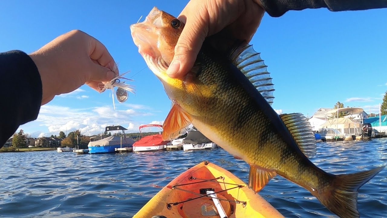 Fishing DEEP CREEK LAKE 2021 | Pickerel, Pike, Perch and More! Ft. Hazlife