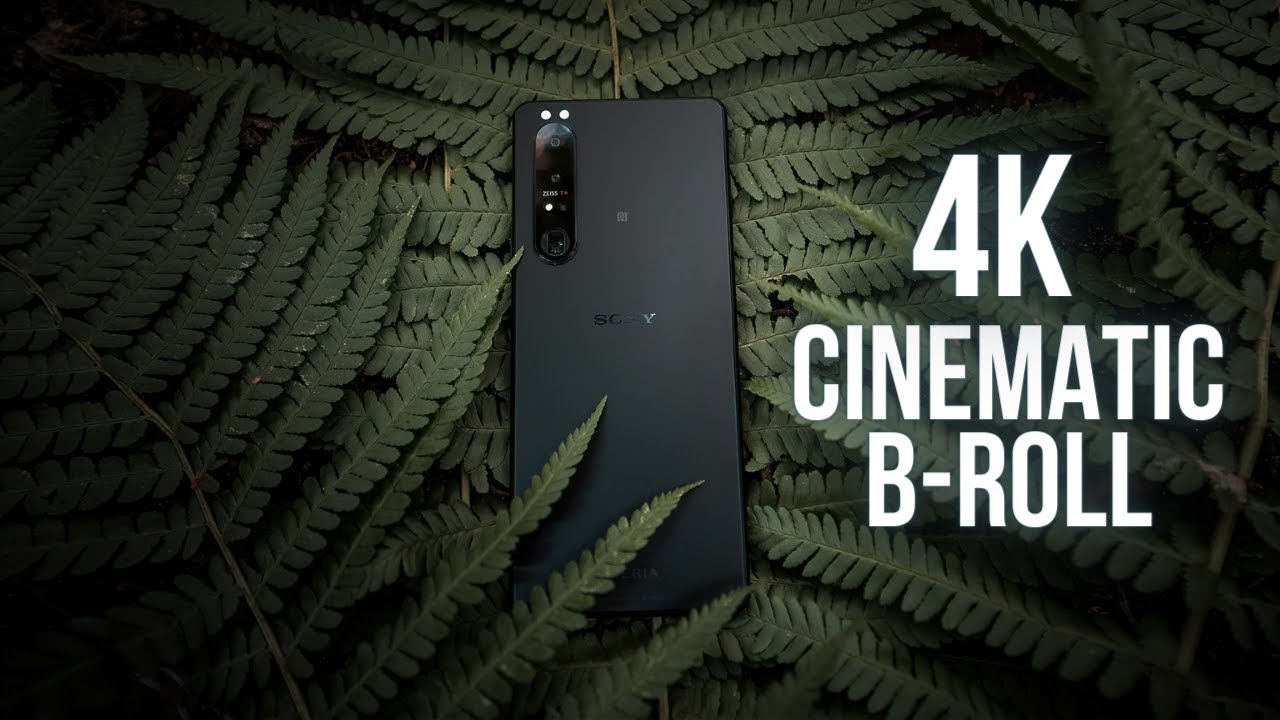 Xperia 1 III — кинематографичные видеоролики о природе на телефоне?