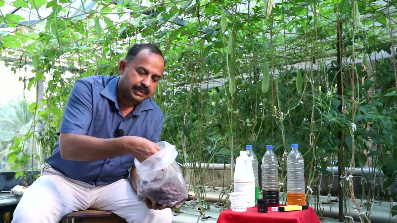 GROW   VEGETABLES WITHOUT SOIL  BY  HYDROPONIC FARMING.      മണ്ണില്ലാതെ  പച്ചക്കറി കൃഷി ചെയ്യാം.