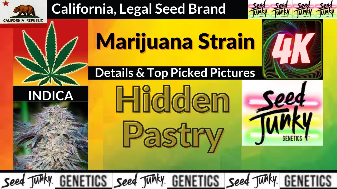 Hidden Pastry Seed Junky Genetics