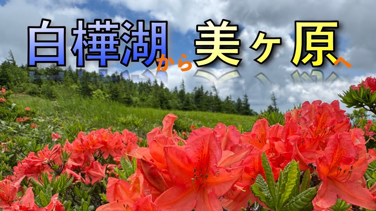 【ロードバイク】白樺湖から美ヶ原へ