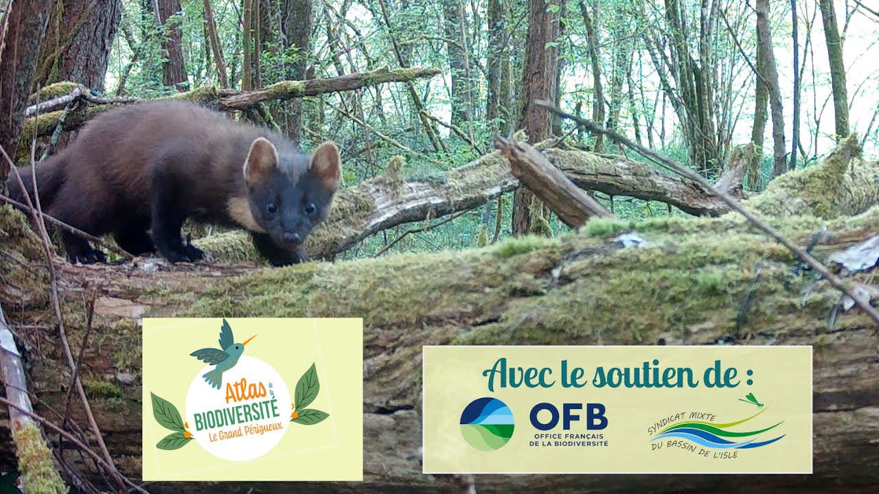 ABC du Grand Périgueux