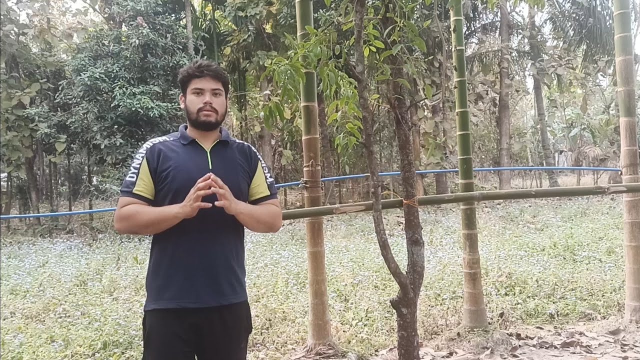 White Chandan Tree Plant Cultivation In Assam বগা চন্দনৰ গছৰ খেতি অসমত কৰো আহক