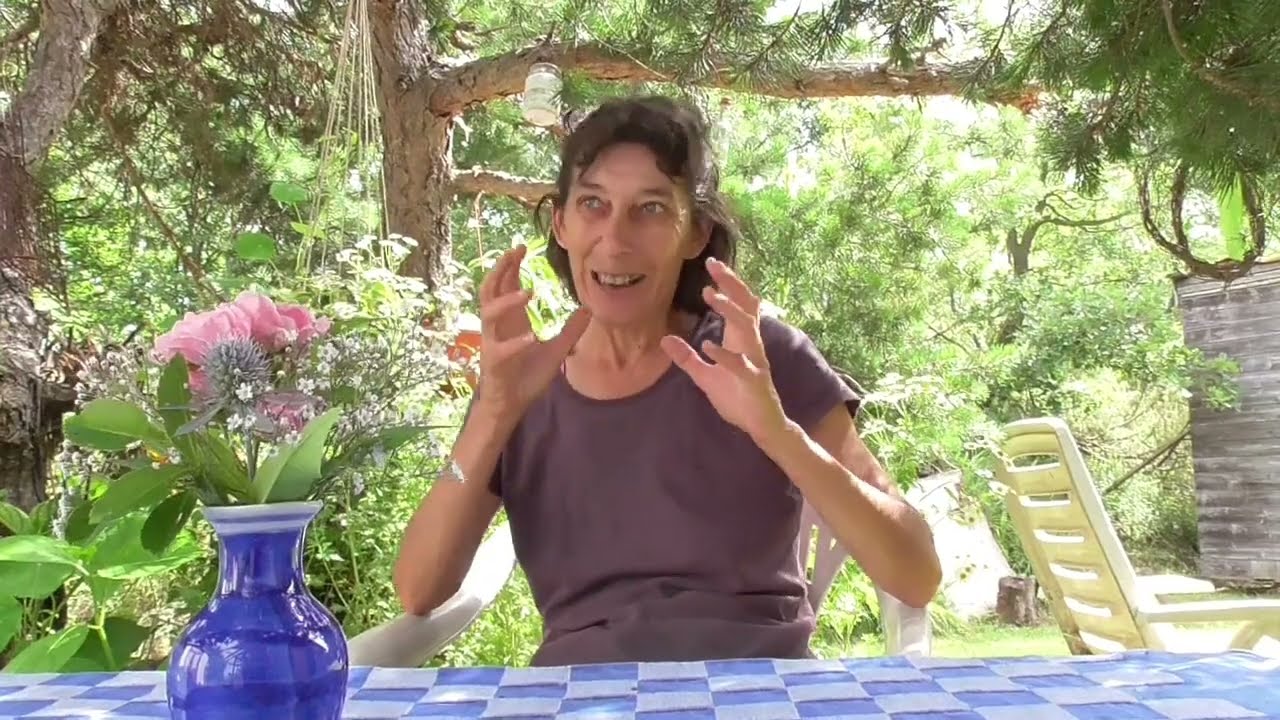 Il papavero dei campi è velenoso?