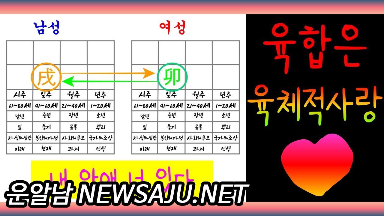 사주에서 찰떡궁합이란? 지지 육합은 함께 있어도 떨어져 있어도 함께 있고 싶은 것