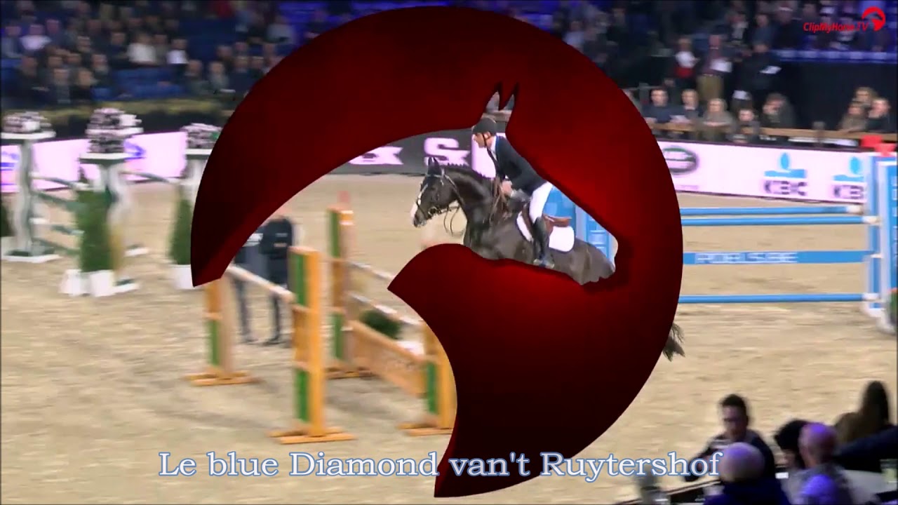 Le Blue Diamond Van't Ruytershof 2019