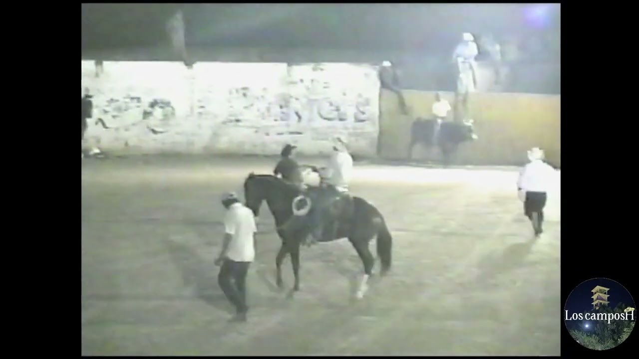 Jaripeo en la plaza de toros en nocupetaro parte 6   2006