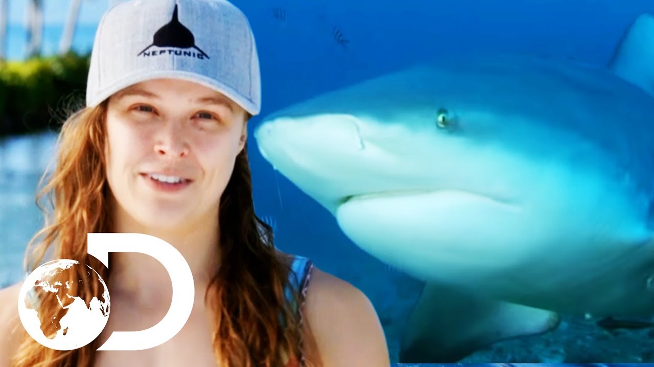 Ronda Rousey Attempts To Hand Feed A Bull Shark! | SHARK WEEK 2018