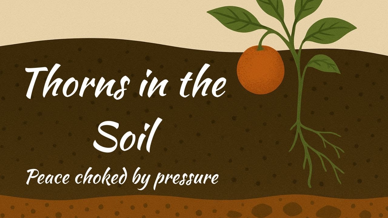 Thorns in the Soil