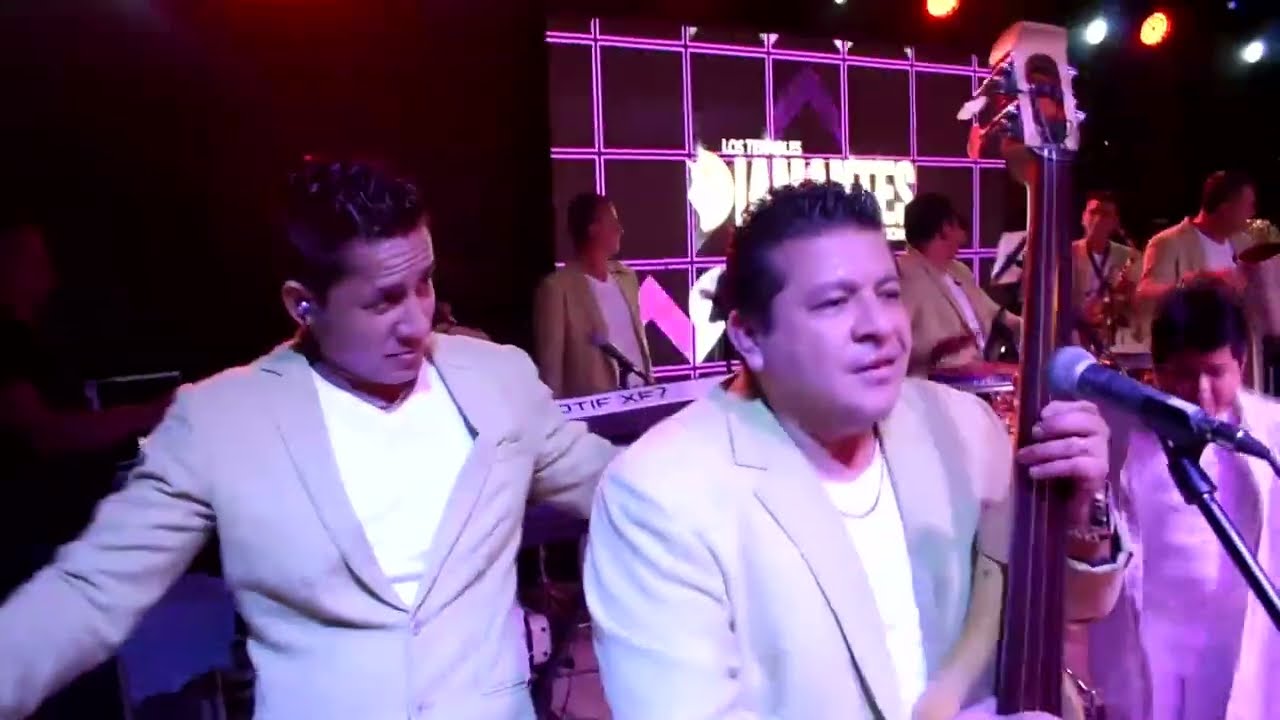 Paseítos Recopilación 2024 Mix HD - Diego Bravo DJ
