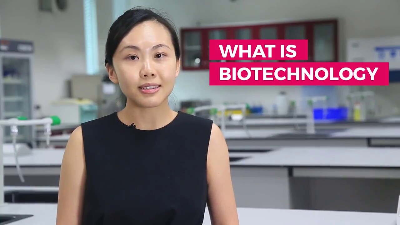 Reasons to Study Biotechnology at Taylor’s