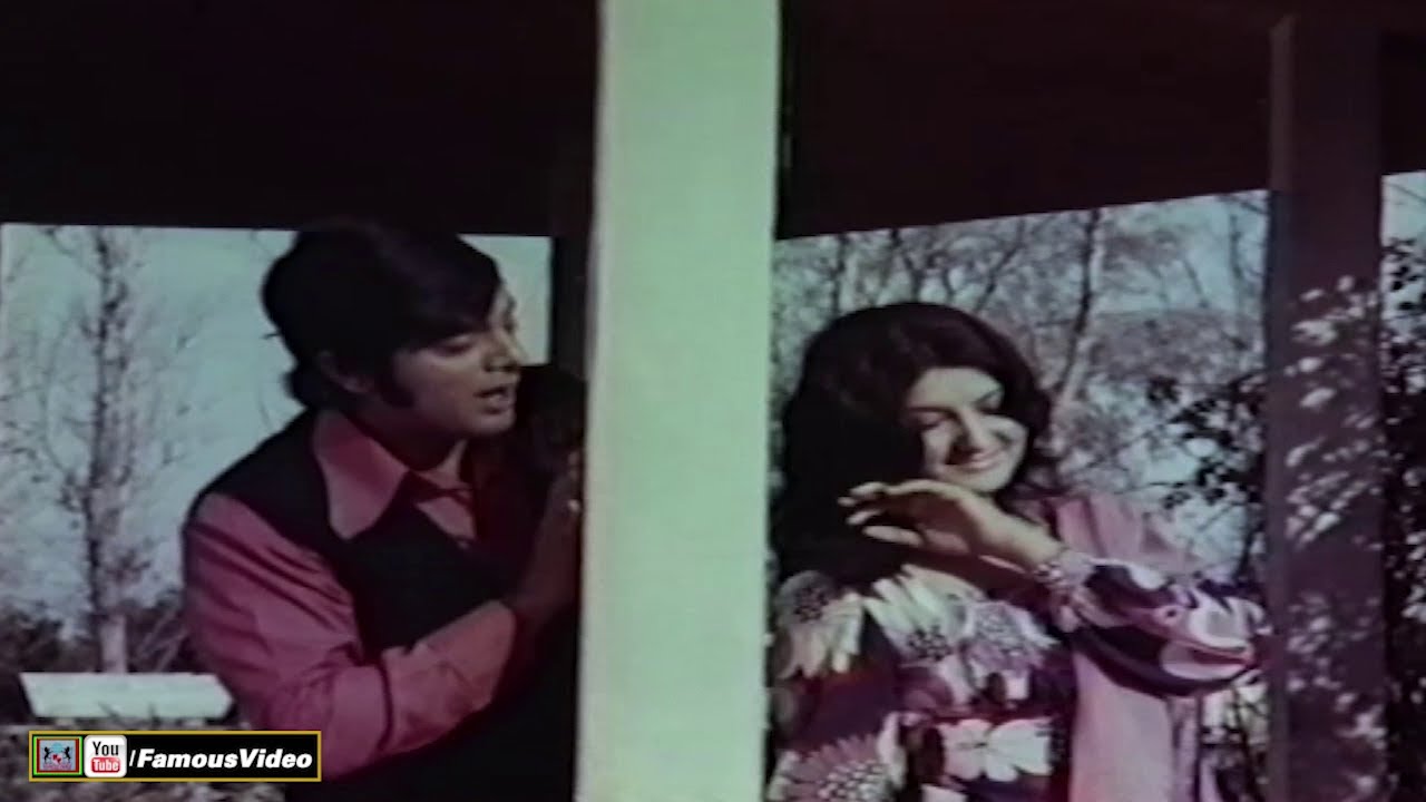 MOHABBAT ZINDAGYI HAI AUR TUM MERI MOHABBAT HO - MEHDI HASSAN - FILM TUM SALMAT RAHO