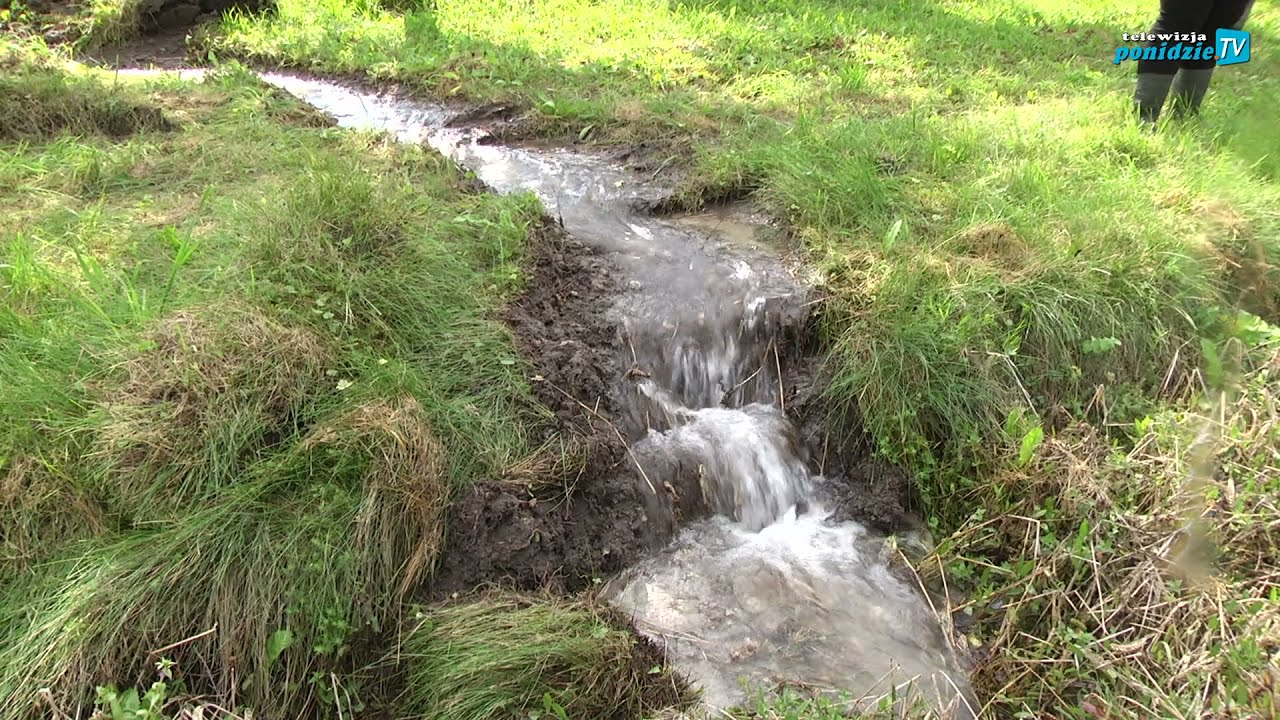 Widuchowa: wybiło źródło i woda zalewa posesje