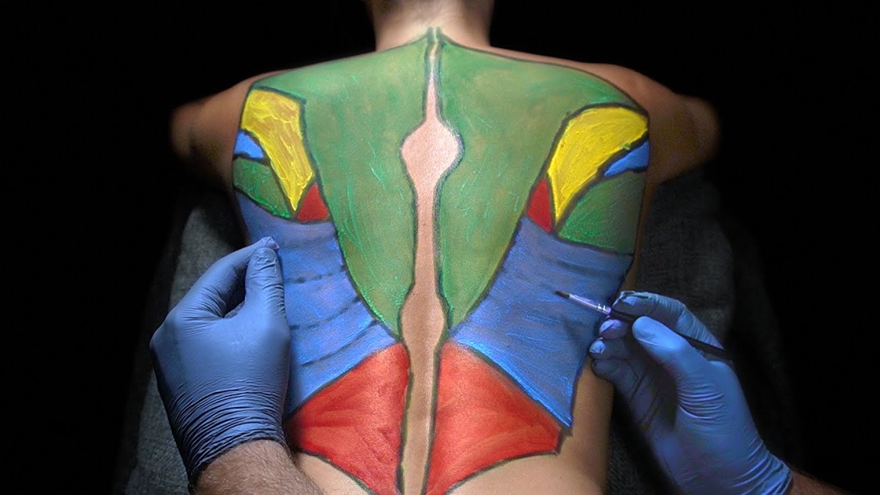 ASMR [Real Person] Back Muscle Drawing, Tracing, Measuring for Sleep No Talking