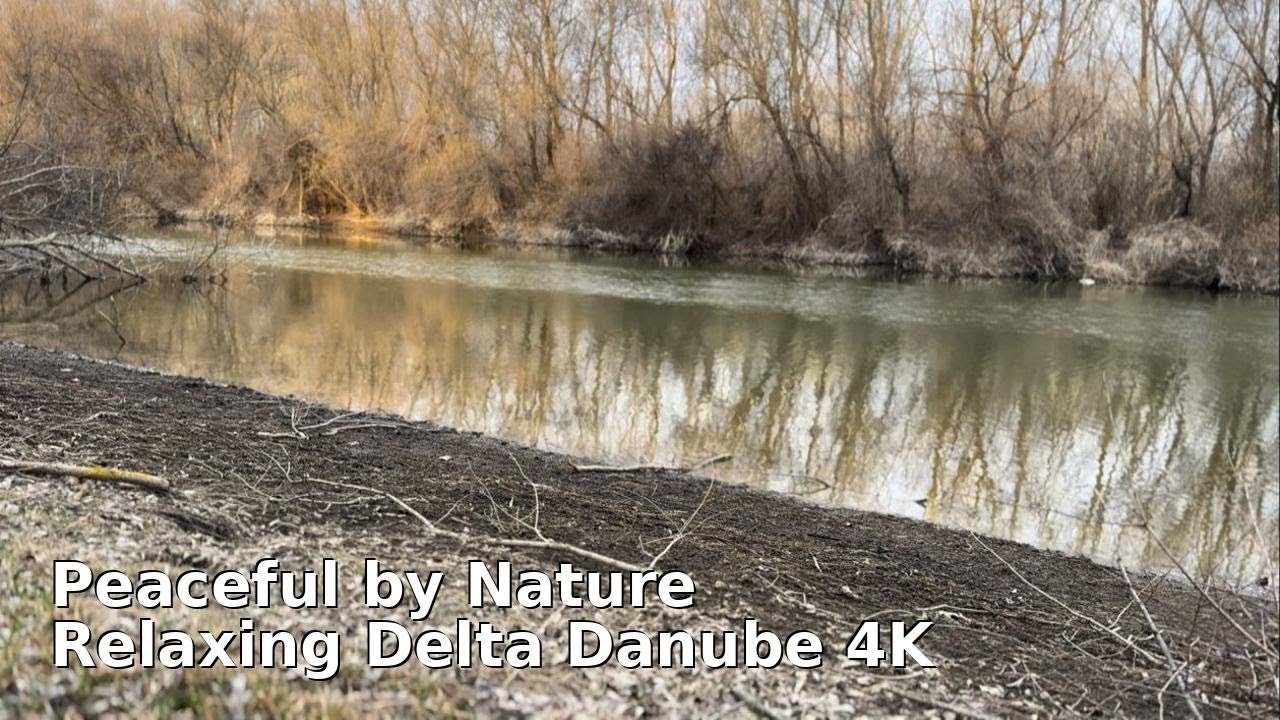 Relaxing Delta Danube 4K | Birds & Water Sounds for Sleep and Meditation
