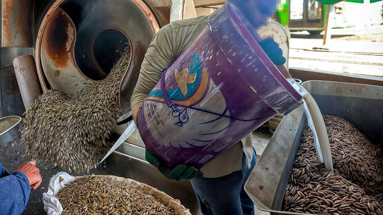 How to flavor sunflower seeds