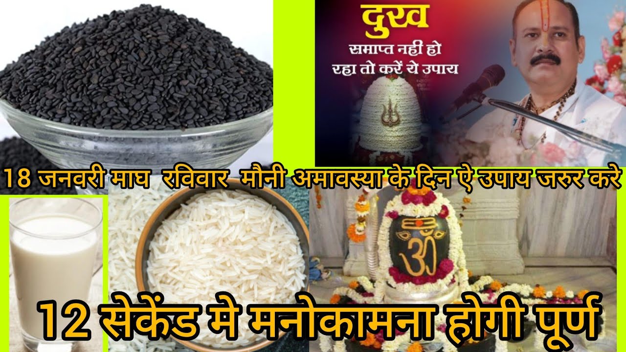 18 जनवरी माघ रविवार उपाय ! माघ पंचमी तिथि उपाय ! पीपल का पत्ता उपाय ! चावल का उपाय !Pradeep Mishra J