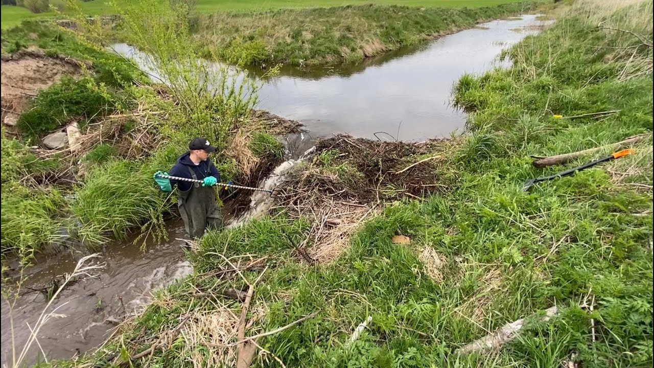 Opening monster beaver dam.