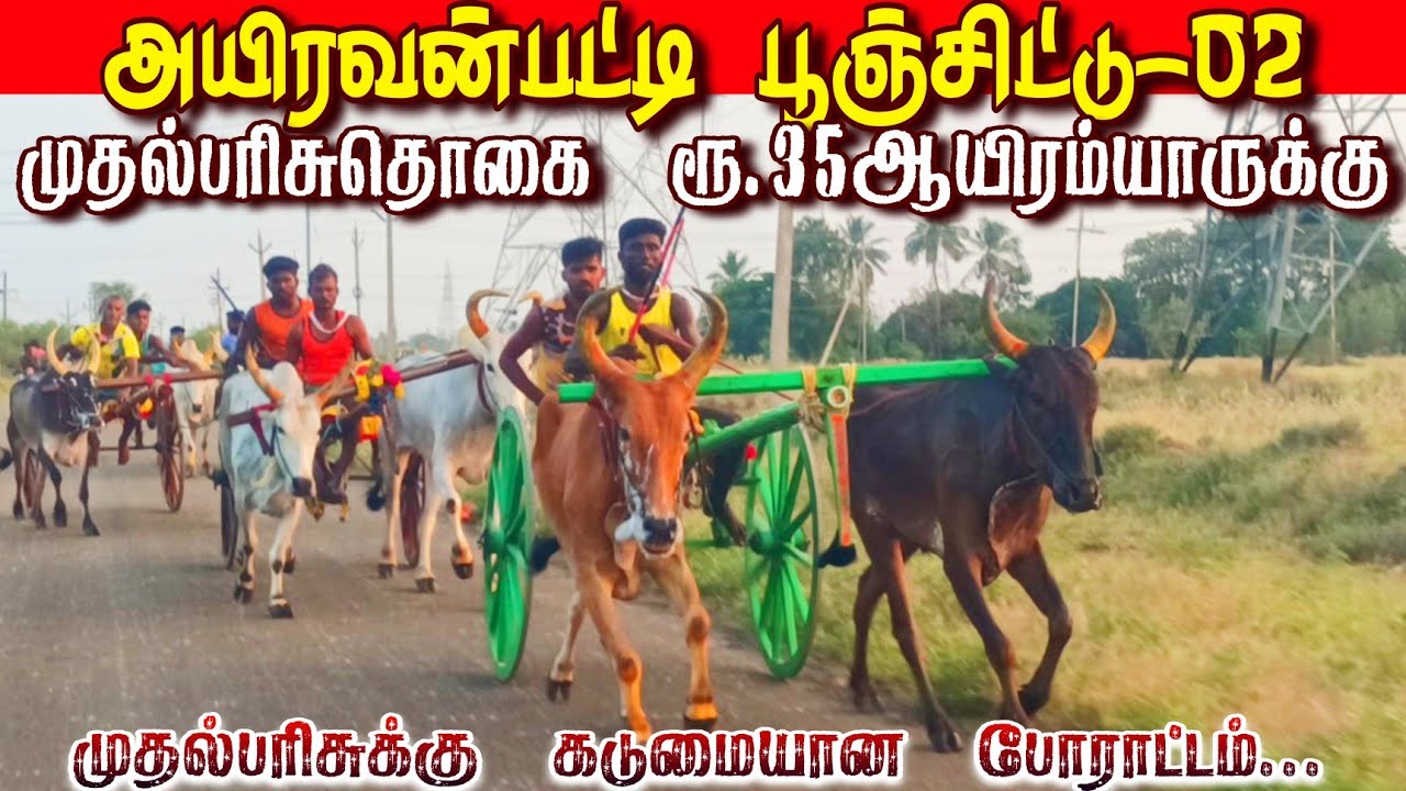 33 அயிரவன்பட்டி பந்தயம் தூத்துக்குடி [மா]