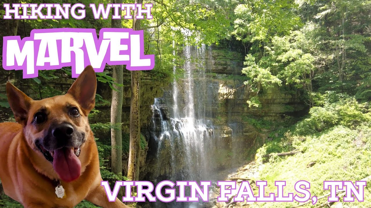 First Time at Virgin Falls - Hiking With Marvel