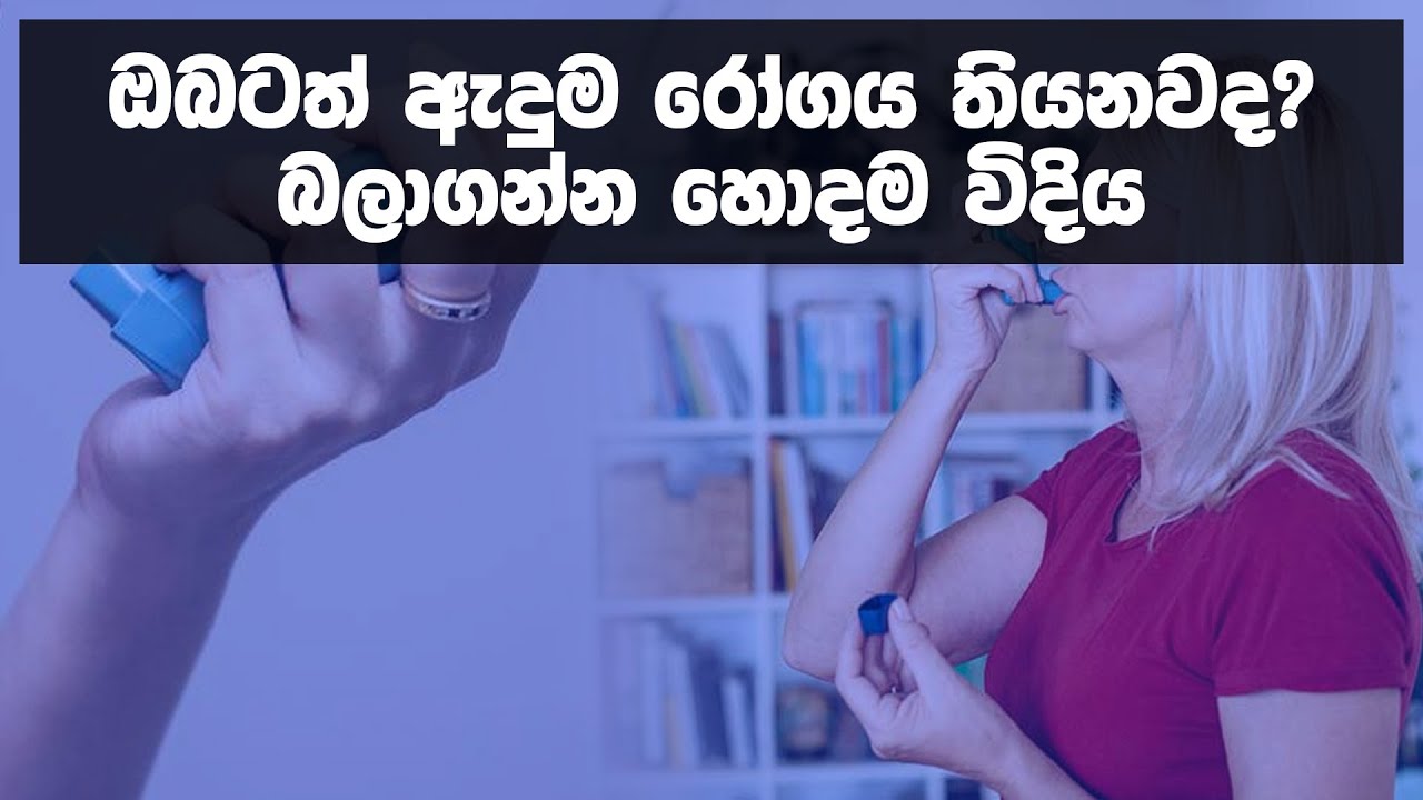 ඔබටත් ඇදුම රෝගය තියනවද? බලාගන්න හොදම විදිය