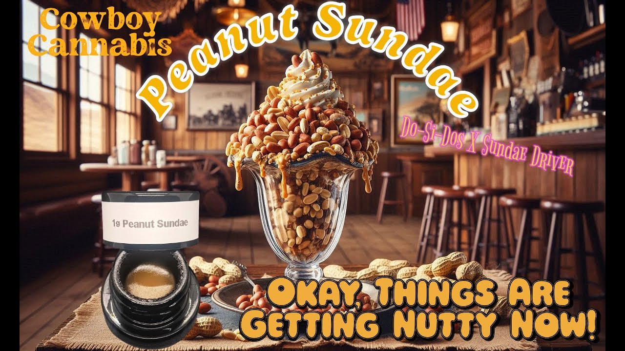 Trying Some Peanut Sundae Badder From Cowboy Cannabis - Will It Satisfy My Sweet Tooth?