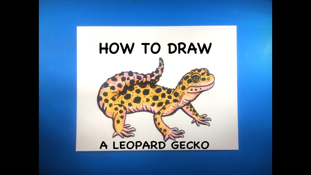How to draw a Leopard Gecko