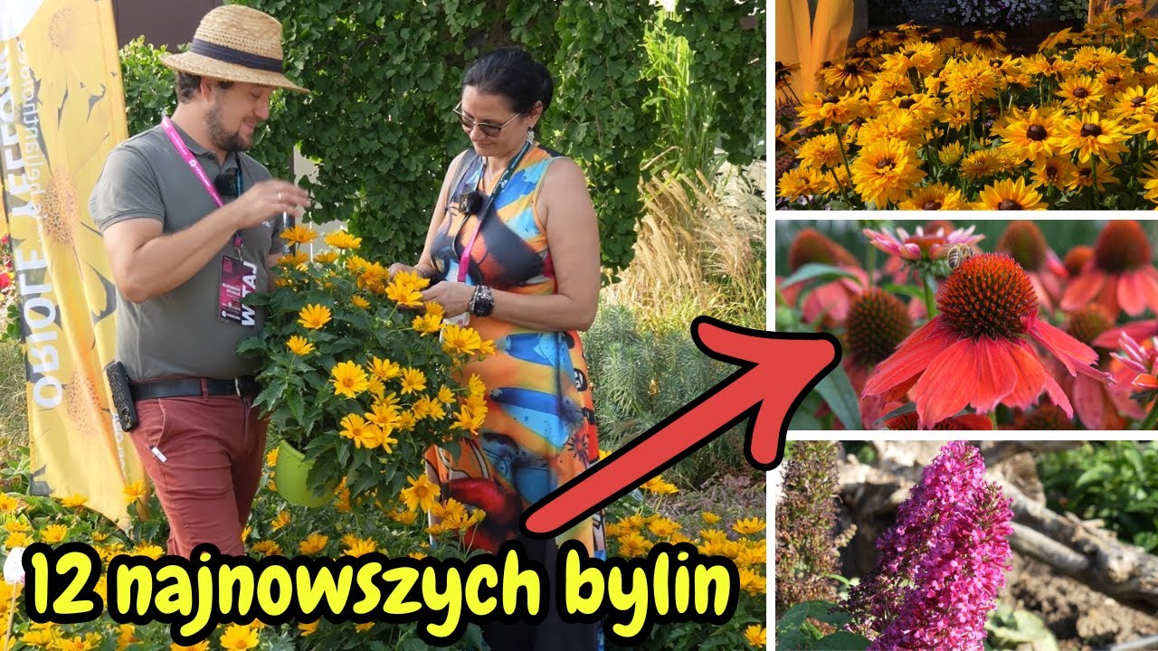 12 bylinowych nowości na rok 2025 - 'Żywy Katalog' 2024 w Vitroflora (Dni Otwarte)