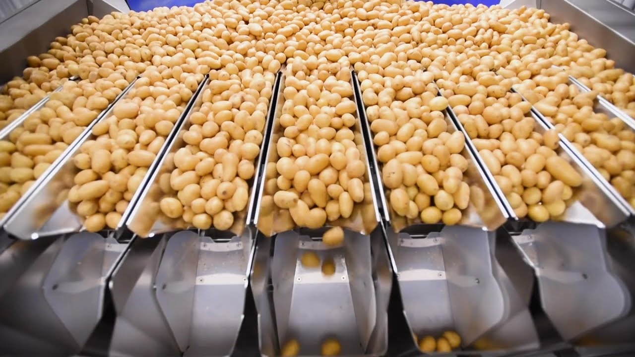 Revolutionizing Produce Packaging: The Schur®Star System | Industrial Automation Case Study