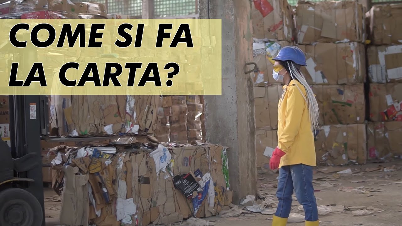 COME SI PRODUCE LA CARTA? dal legno, al foglio al riciclo. Il funzionamento della MACCHINA CONTINUA