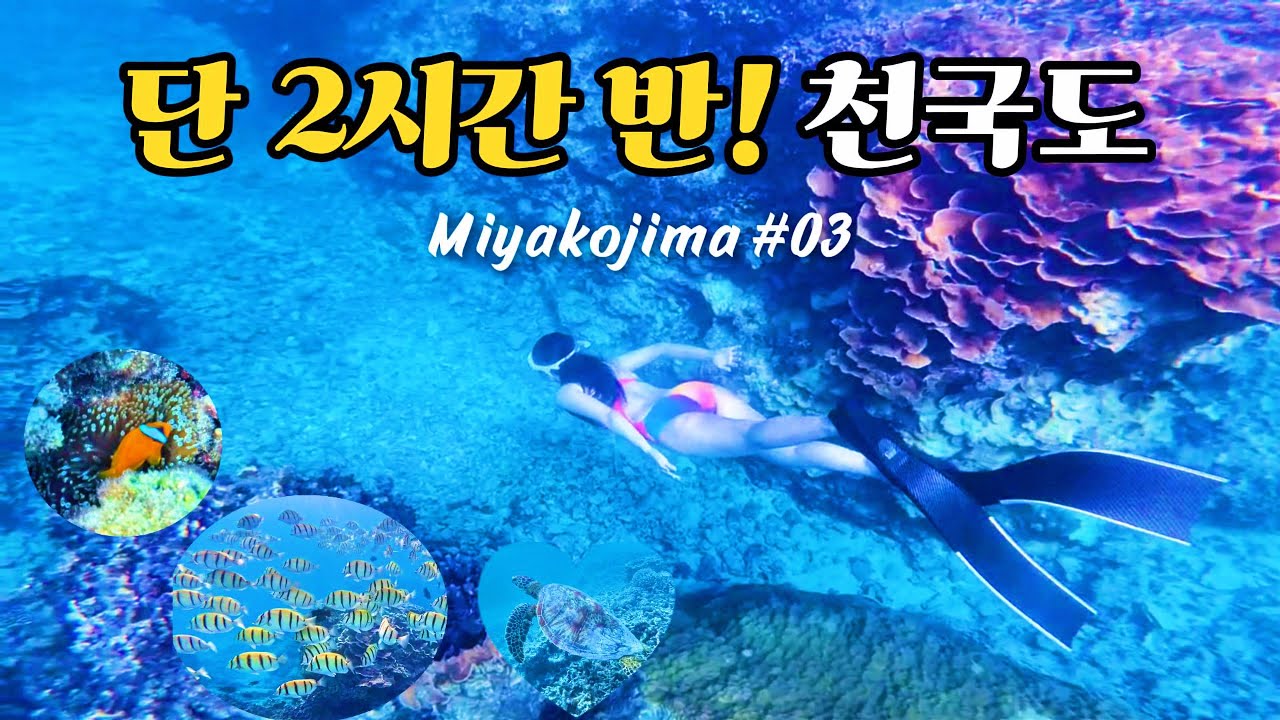 🇯🇵ep.3 두 번씩 방문한 미야코 스노클링 스폿🤿ㅣ돈키호테 쇼핑템ㅣ호르몬야 야키니쿠ㅣ아리랑비ㅣ망고커리ㅣ나카노시마 해변ㅣ아라구스쿠 해변