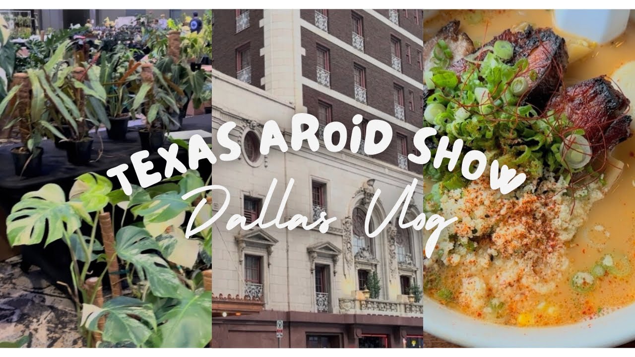 Texas Aroid Show Dallas Vlog EPIC HAUL