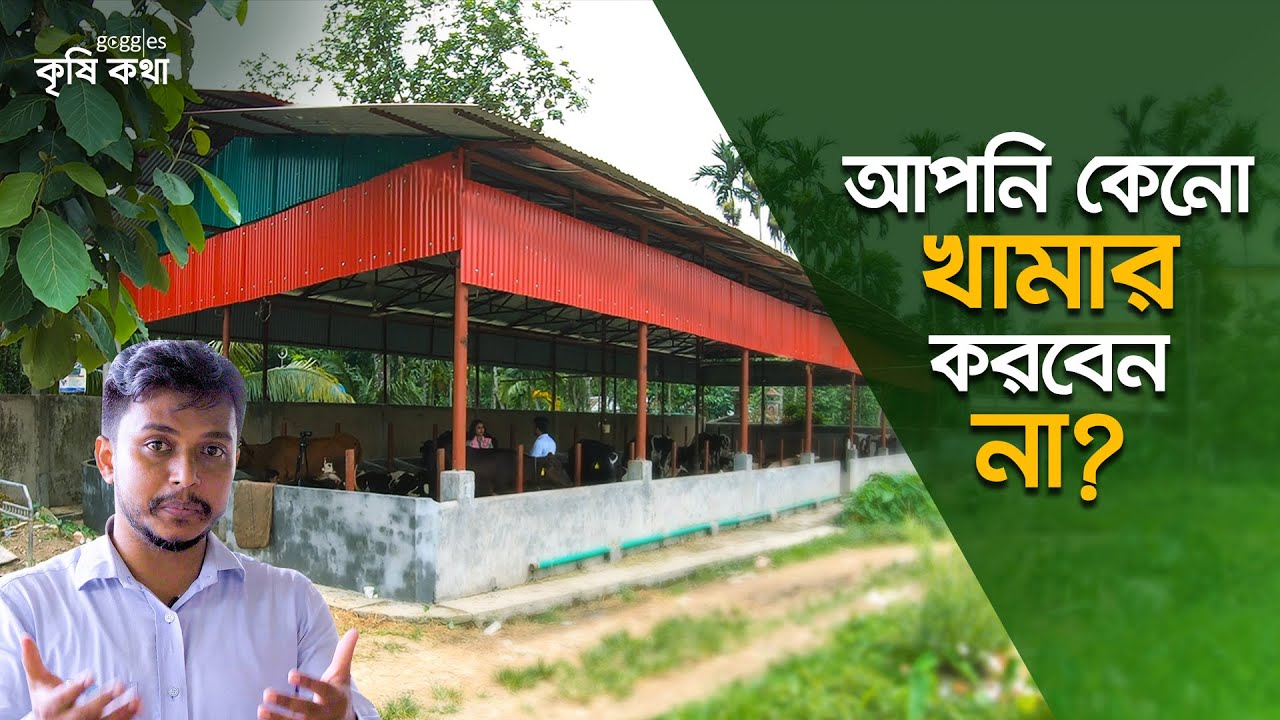 আপনি কেন খামার করবেন না। আপনার কেনো গরু খামার দেওয়া উচিত না ? | Why you shouldn't go the dairy farm