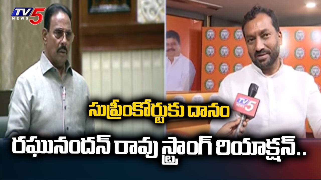 MP Raghunandan Rao Fires on Danam Nagender Over Disqualification & Supreme Court Appeal | TV5 News