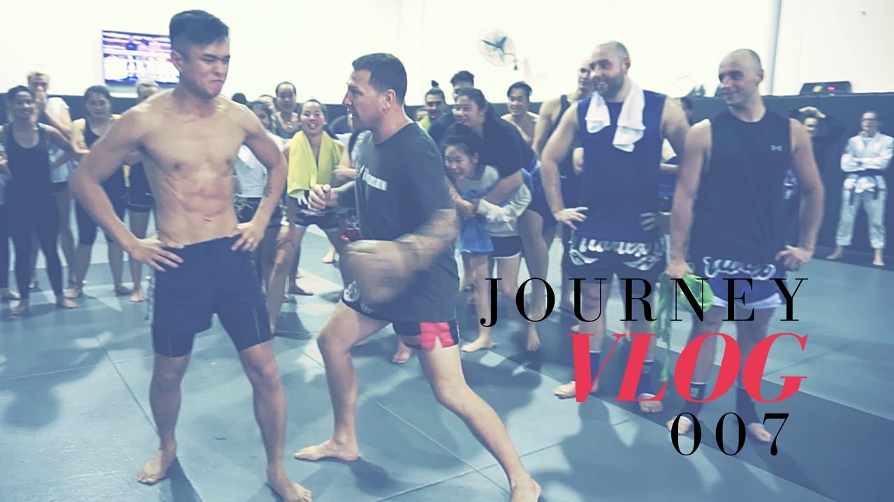 Getting Punched On My Last Day at Immersion MMA | Journey Vlog 007