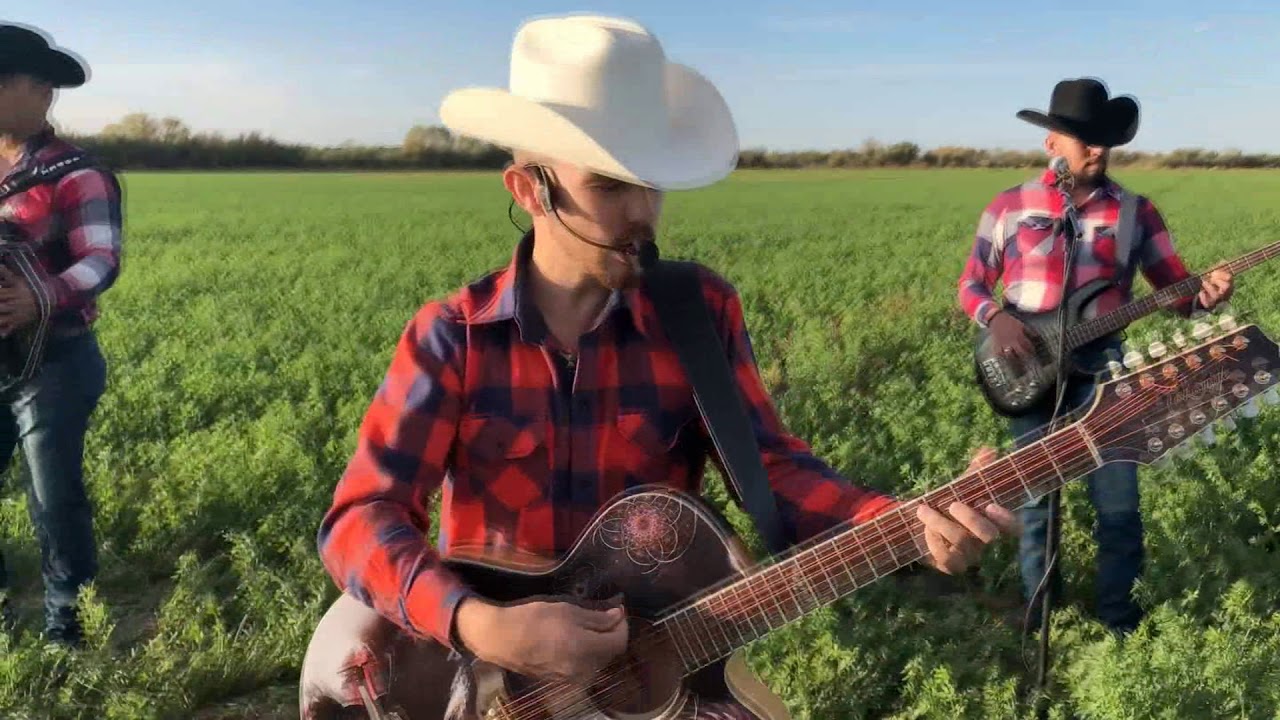 El amanecido